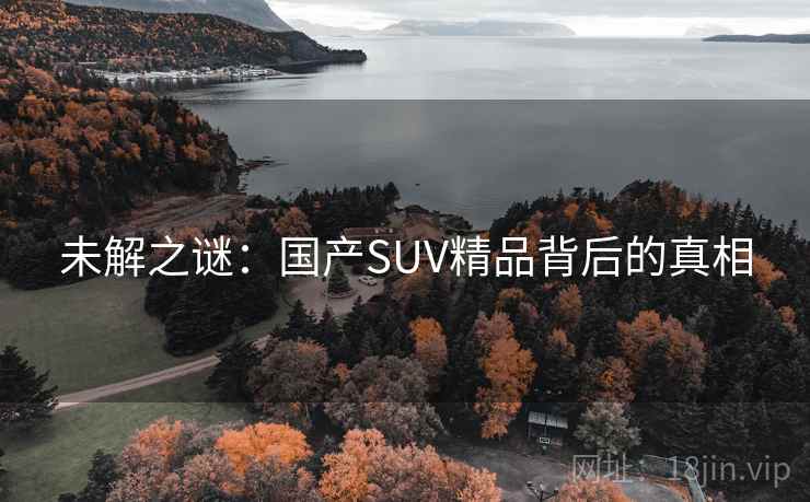 未解之谜:国产SUV精品背后的真相 未解之谜:国产SUV精品背后的真相