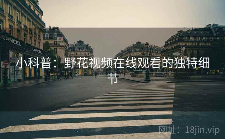 小科普：野花视频在线观看的独特细节