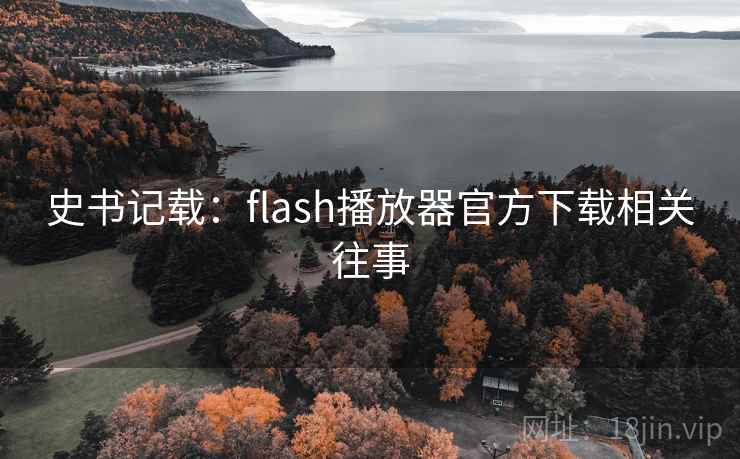 史书记载：flash播放器官方下载相关往事